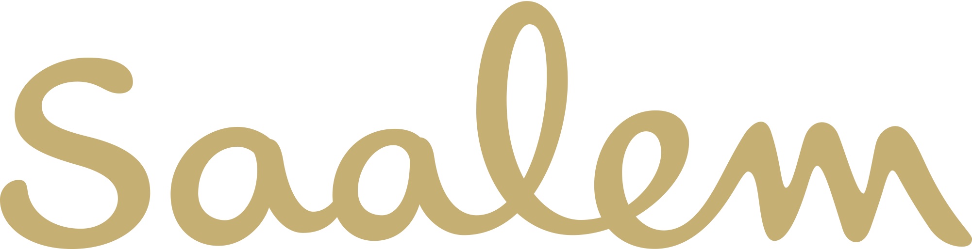 Saalem logo